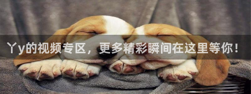 星空影视电影