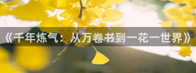 星空天美影院