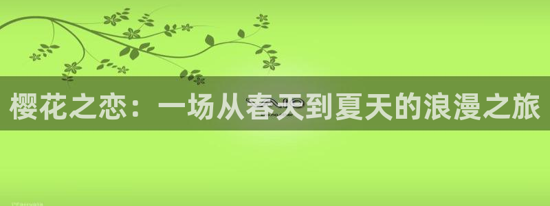 星空电影网 1080p