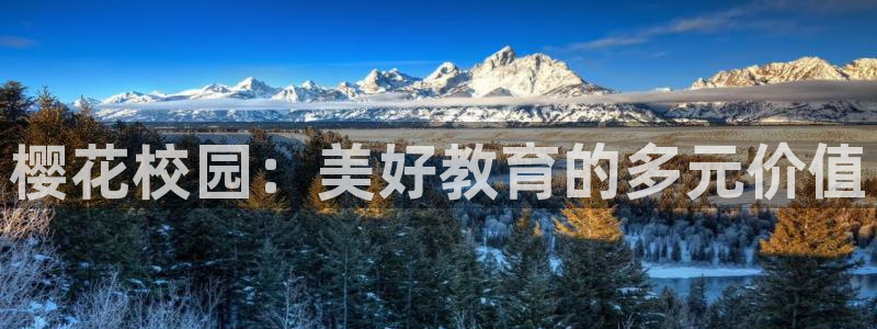 老湿影院 伦理片