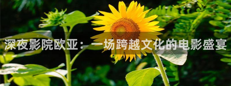 老湿影院免费观看电影电视剧