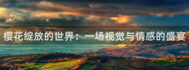 星空电影网免费观看