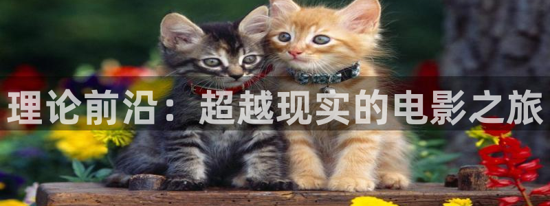 老湿影院在线观看全集免费高清视频