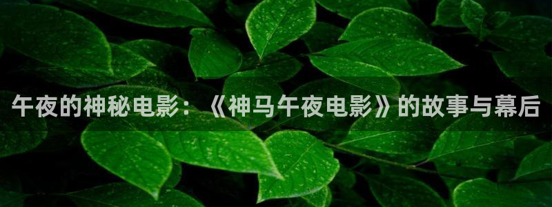 宿州星空电影影讯
