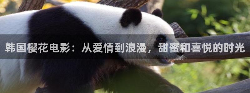 免费在线观看电影网站老湿影院