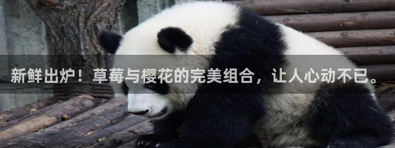 老湿影院老湿影院