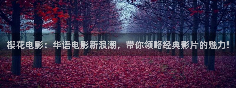 星空无限传媒免费观看高清