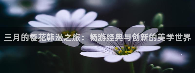 星空好看的电影