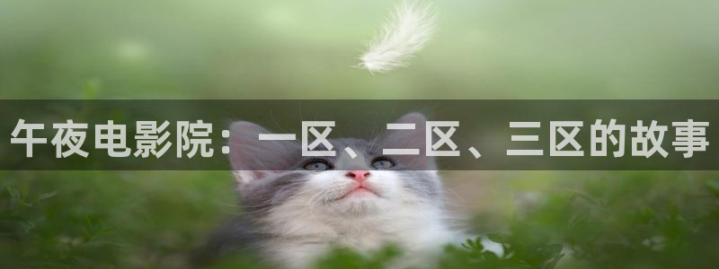 有关星空的电影