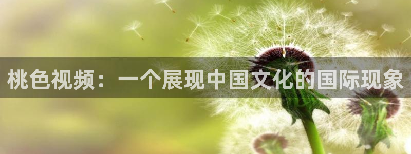 星空电影影院在线观看免费完整版高清