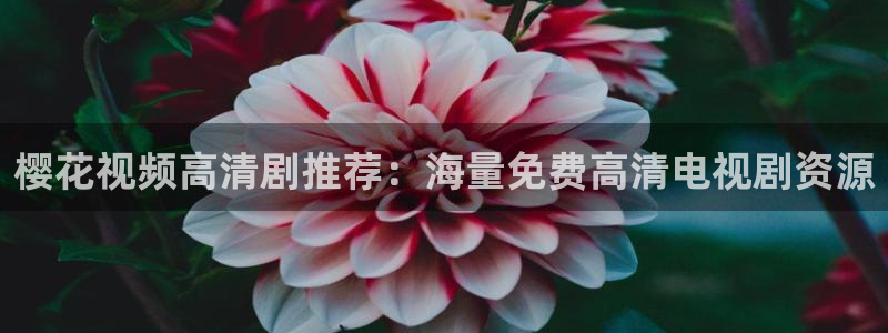 关于星空的画