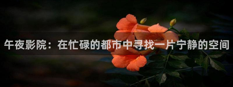 星空视频免费观看高清完整版