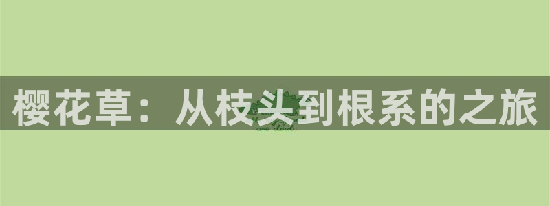 星空影视下载app
