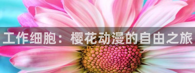 老湿影院电影在线免费观看