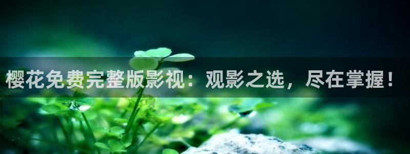 星空影视下载最新版