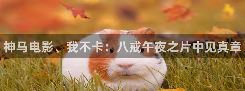 老湿影院电影免费观看